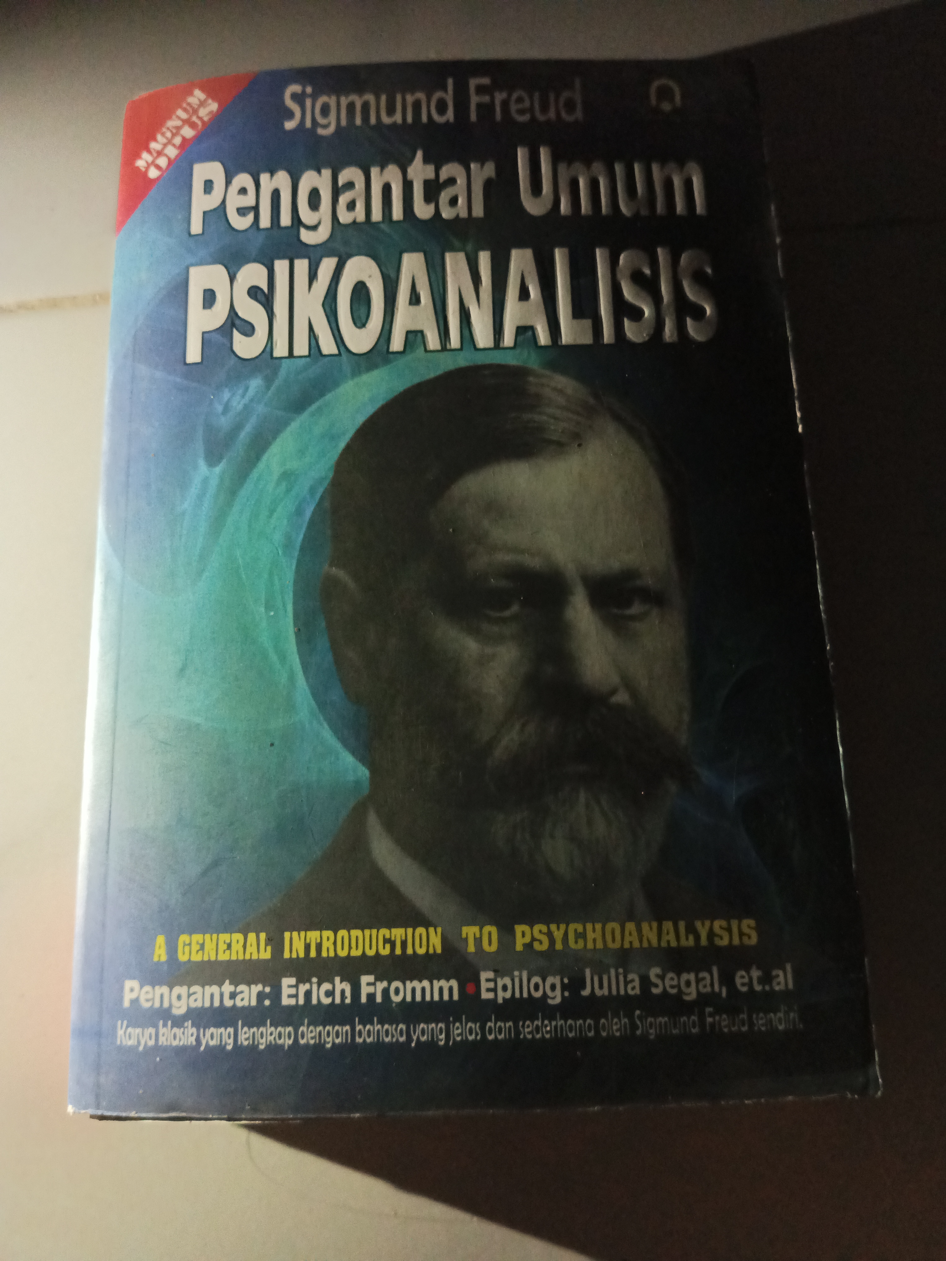 Kompleksitas Kesalahan Menurut Freud dan Realitas Siswa ABK (Part 1)