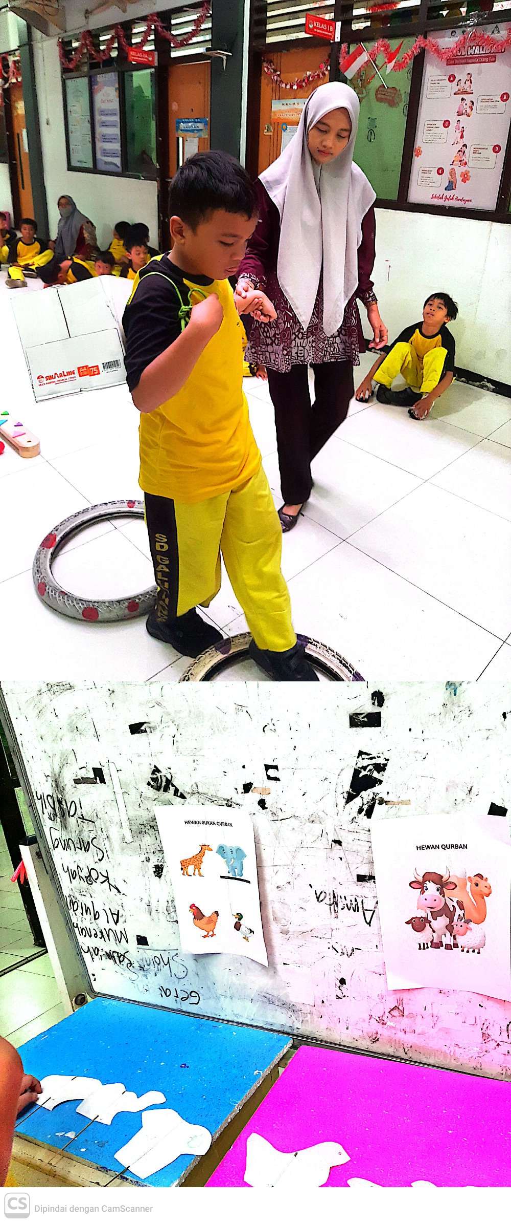 <p>mempelajari dan klasifikasi hewan yang bisa di...