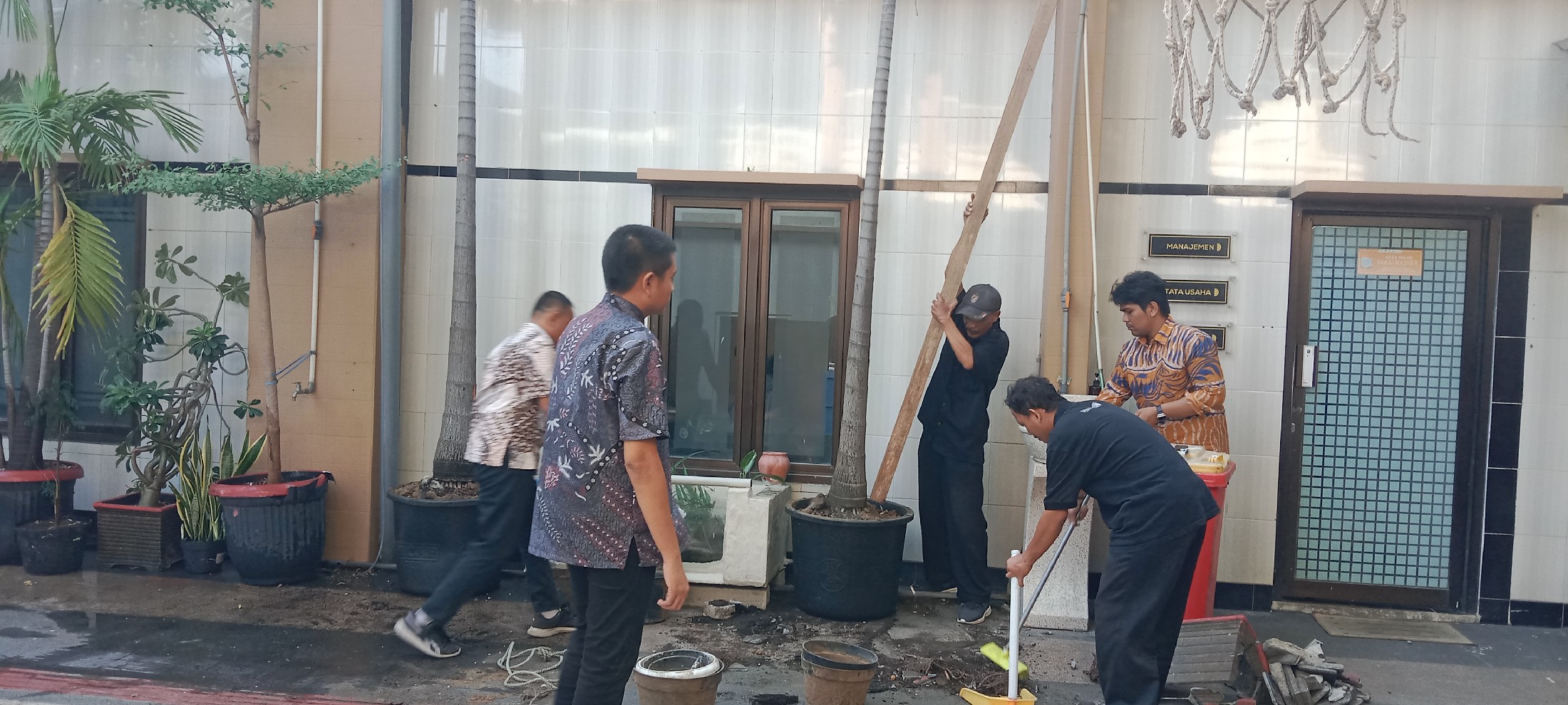 <p>Mengganti pot tanaman palem</p>