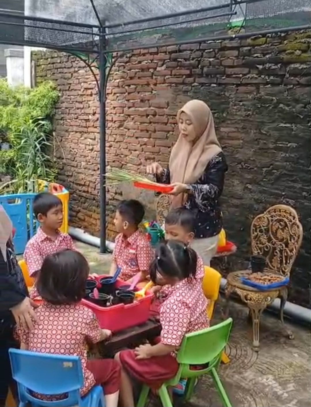 Menanam tanaman toga