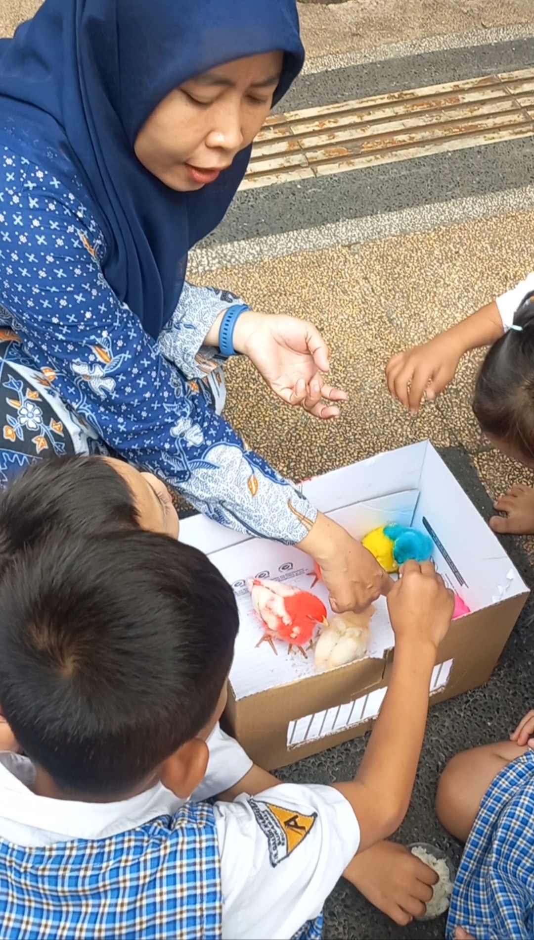 Menangkap ayam dan memasukkan ayam ke dalam kandang