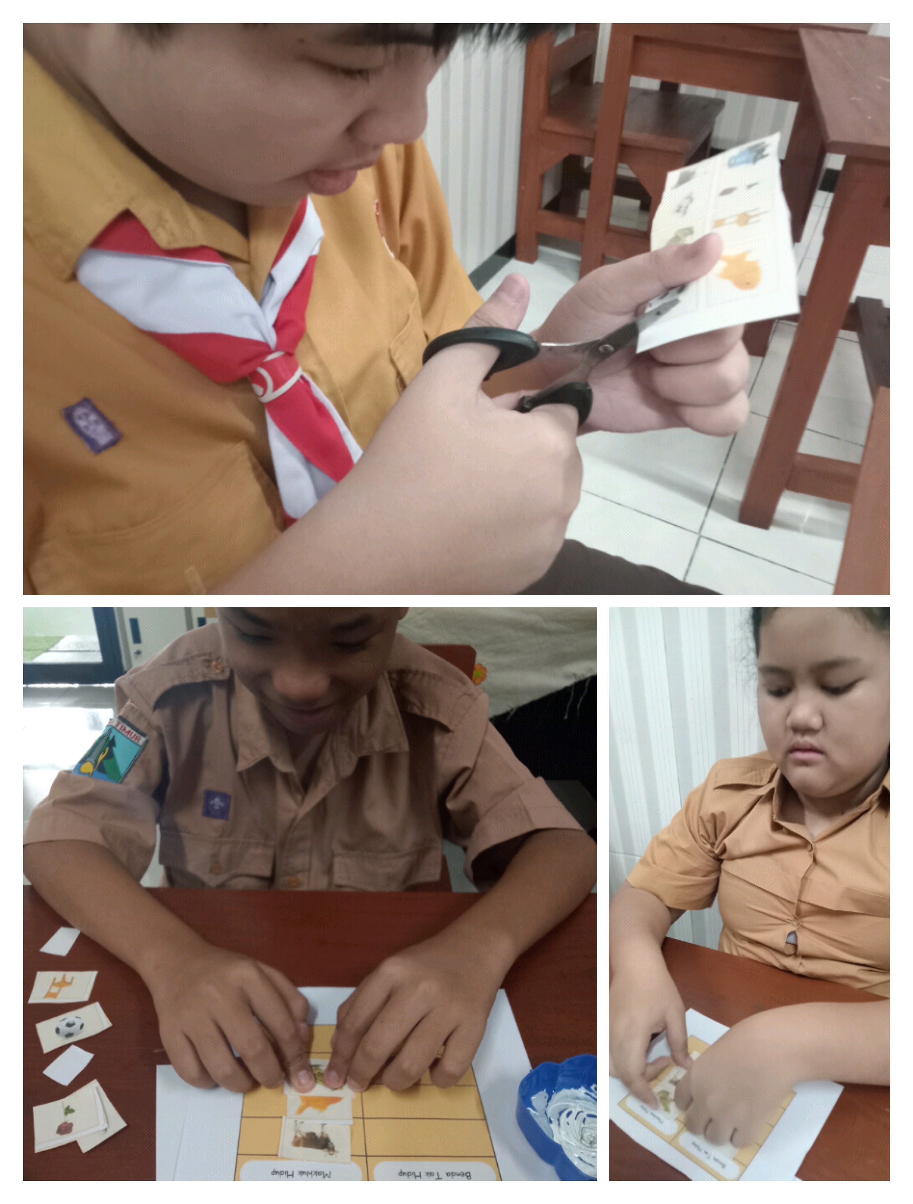 - Klasifikasi makhluk hidup dan tak hidup
- Karakteristik makhluk hidup