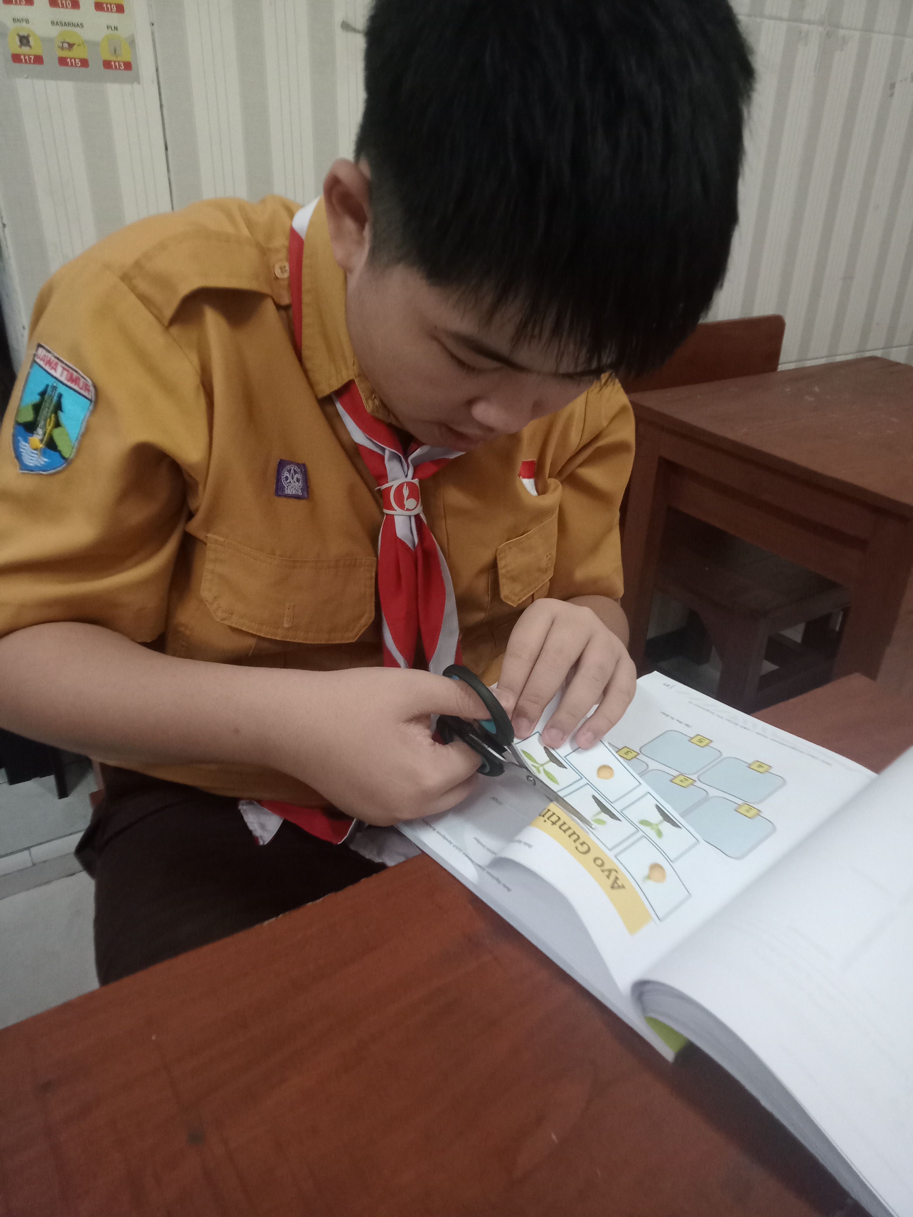 Pertumbuhan dan perkembangan hewan dan tumbuhan 